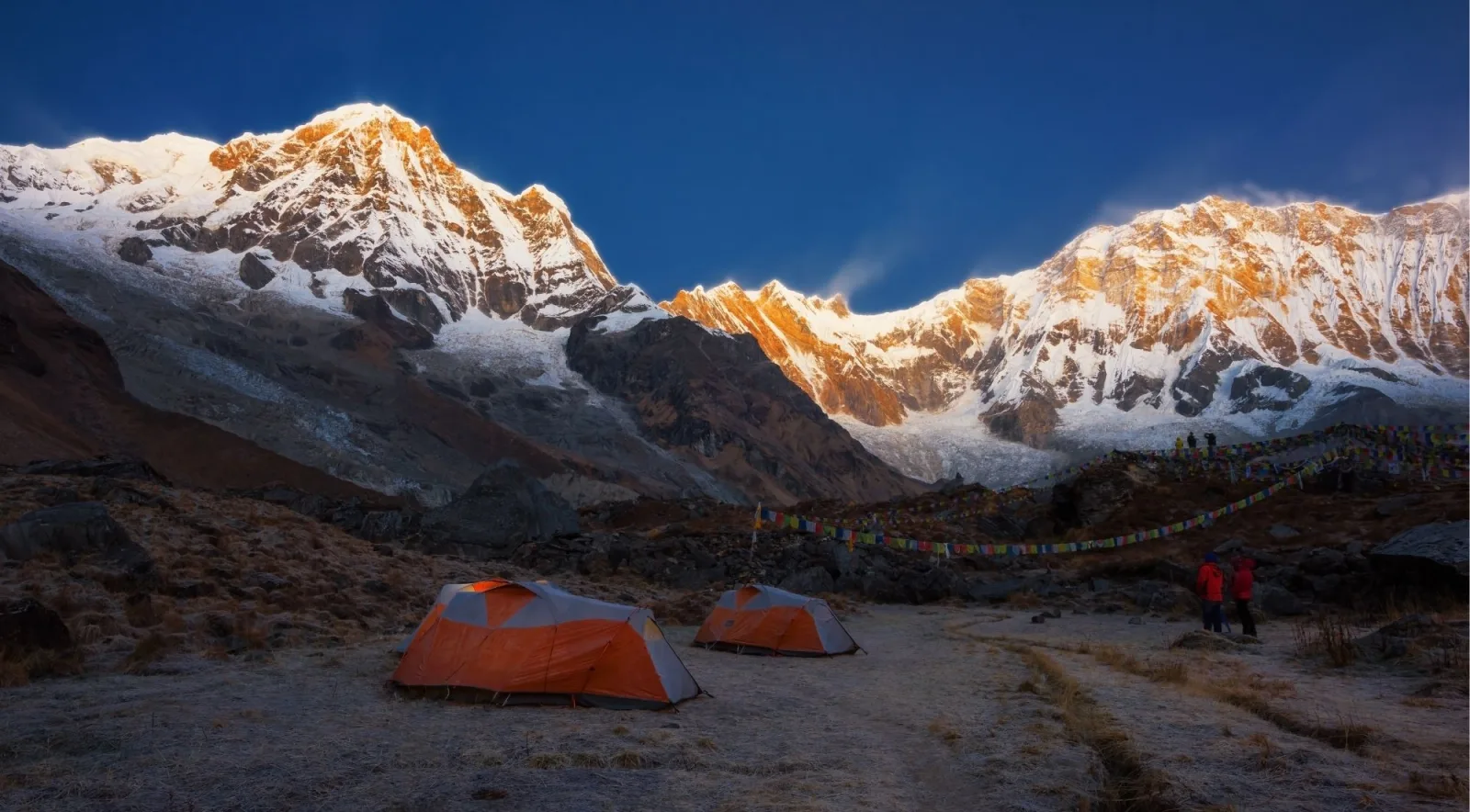 Dawn alpenglow on the Annapurna massif above two orange tents pitched on frosted grass at base camp