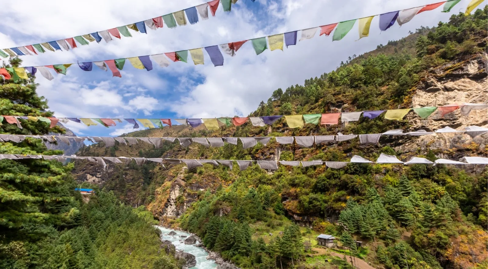 Lines of Buddhist prayer flags strung across a forested gorge above a turquoise Himalayan river