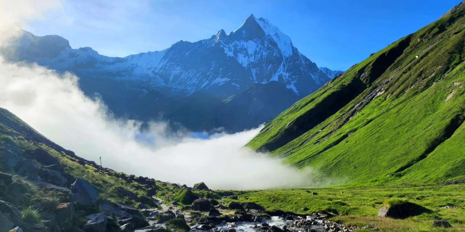 Machhapuchhre rising above cloud filling the green upper Modi Khola valley