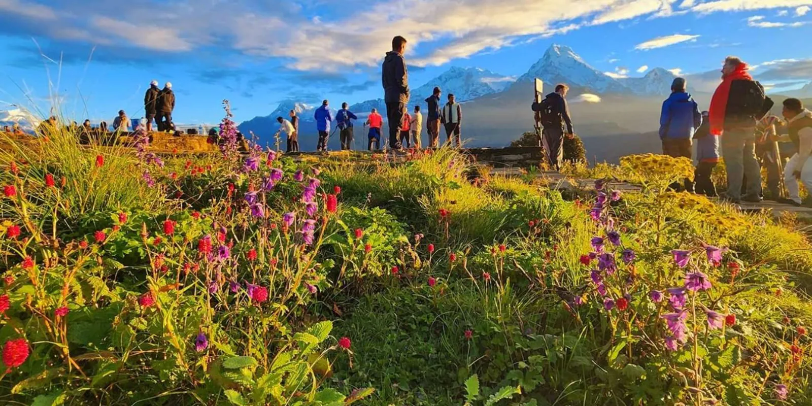 Pokhara: 9-Day Annapurna Base Camp Trek with Poon Hill
