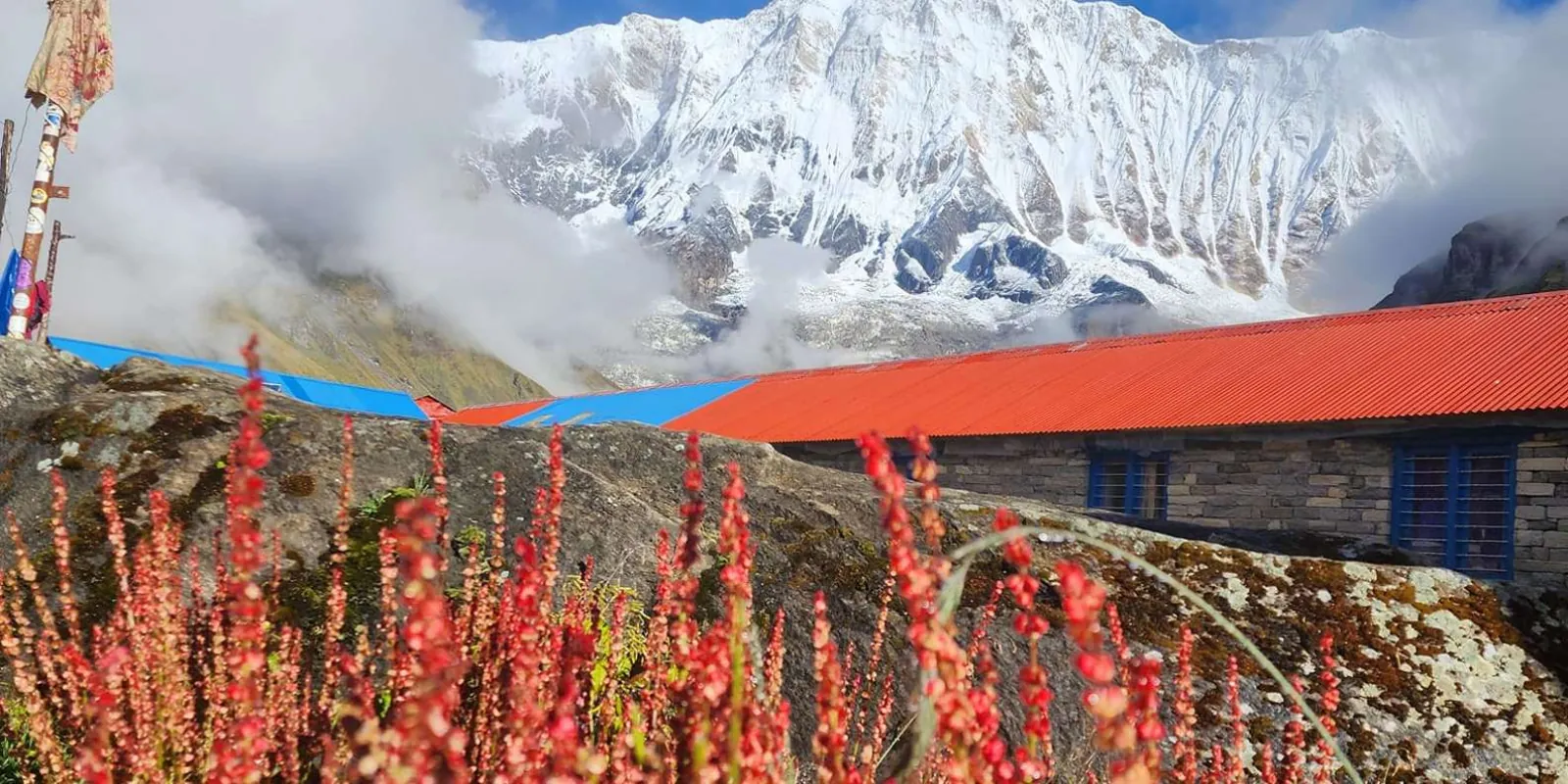 The south face of Annapurna I above the red-roofed base camp lodges with red alpine flowers in front